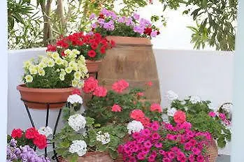 فندق Zorzis (adults Only)