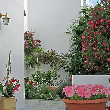 Zorzis (adults Only) فندق